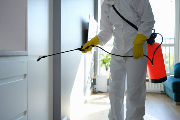 Best Mold Testing  in Cactus, TX